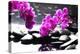 Branch Purple Orchid Flower With Therapy Stones-crystalfoto-Premier Image Canvas