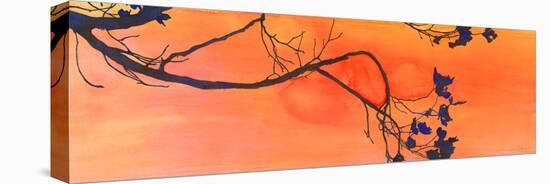 Branch Study-Jackie Battenfield-Stretched Canvas