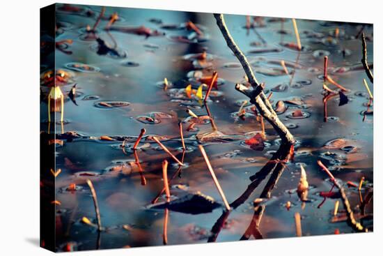 Branches in Water-null-Stretched Canvas