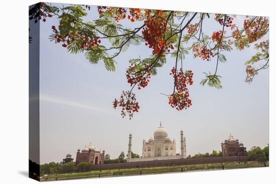 Branches of a Flowering Tree with Red Flowers Frame the Taj Mahal Symbol of Islam in India-Roberto Moiola-Premier Image Canvas