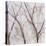 Branches of a Wish Tree A-Danna Harvey-Premier Image Canvas