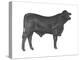 Brangus Bull, Beef Cattle, Mammals-Encyclopaedia Britannica-Stretched Canvas