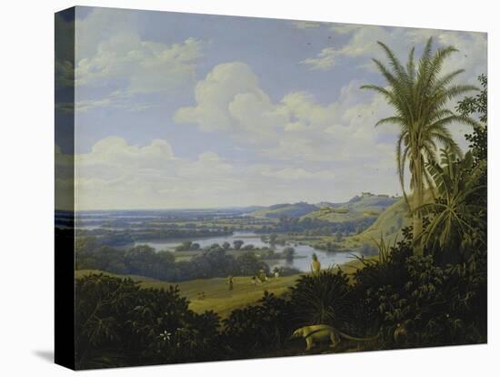 Brasilian Landscape with Anteater. Probably 1649-Frans Post-Premier Image Canvas