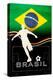 Brazil 2014-null-Stretched Canvas