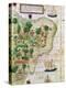 Brazil from the "Miller Atlas" by Pedro Reinel, circa 1519-null-Premier Image Canvas