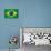 Brazil Painted Flag-jordygraph-Stretched Canvas displayed on a wall
