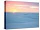 Brazil's Lencois Maranhenses National Park Sand Dunes and Lagoons at Sunset-Alex Saberi-Premier Image Canvas