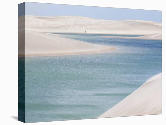 Brazil's Lencois Maranhenses Sand Dunes and Lagoons on a Sunny Afternoon-Alex Saberi-Premier Image Canvas