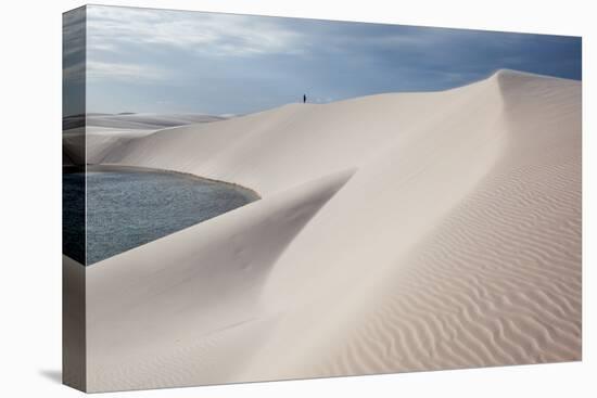 Brazil's Lencois Maranhenses Sand Dunes and Lagoons-Alex Saberi-Premier Image Canvas