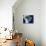 Brazil, Satellite Image-PLANETOBSERVER-Premier Image Canvas displayed on a wall