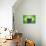 Brazilian Flag Soccer Ball-eabff-Premier Image Canvas displayed on a wall