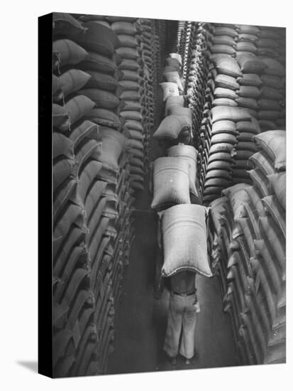 Brazilian Workers Carrying Large Sacks of Coffee Beans in Warehouse of Firm Lima, Noguera and Cia-John Phillips-Premier Image Canvas