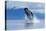 Breaching Humpback Whale, Alaska-Paul Souders-Premier Image Canvas