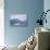 Breaching Humpback Whale in Chatham Strait-null-Premier Image Canvas displayed on a wall