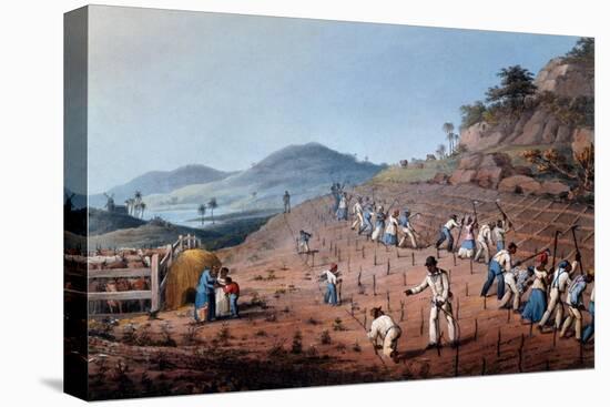 Breaking Up the Land, from 'ten Views in the Island of Antigua', 1823-William Clark-Premier Image Canvas