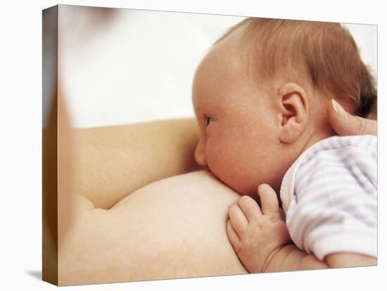 Breastfeeding-Ian Boddy-Premier Image Canvas