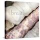 Breathe-Nicole Katano-Stretched Canvas