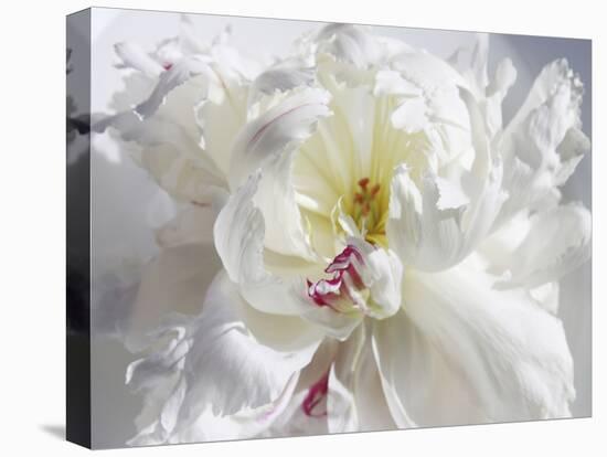 Breathless V-Irena Orlov-Premier Image Canvas