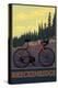 Breckenridge, Colorado - Mountain Bike-Lantern Press-Stretched Canvas