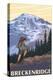 Breckenridge, Colorado - Mountain Hiker-Lantern Press-Stretched Canvas