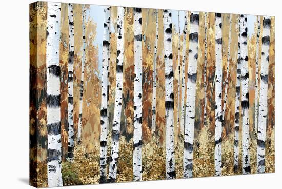 Breckenridge-Mark Chandon-Stretched Canvas