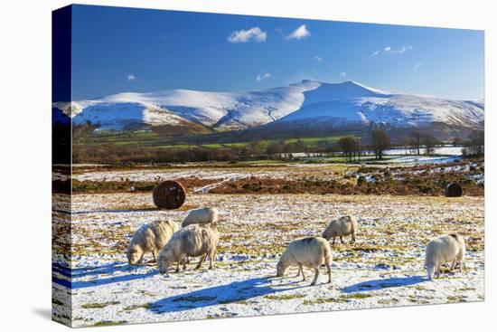 Brecon Beacons National Park, Wales, United Kingdom, Europe-Billy Stock-Premier Image Canvas