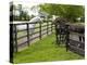 Breeding Thoroughbreds, County Kildare, Ireland-William Sutton-Premier Image Canvas