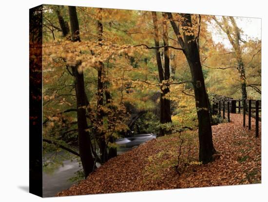 Breezy Autumn Day by the River Brathay Footbridge, Skelwith Bridge, Cumbria, England-Pearl Bucknall-Premier Image Canvas