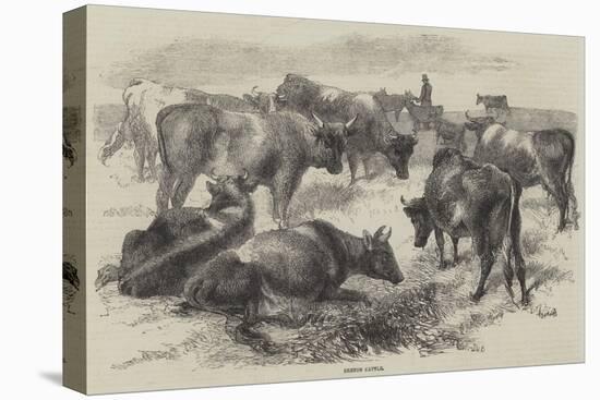 Breton Cattle-Harrison William Weir-Premier Image Canvas