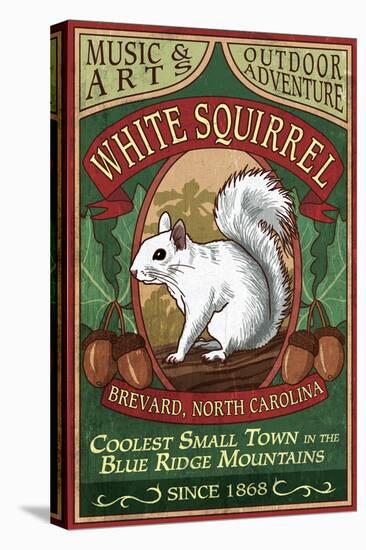 Brevard, North Carolina - White Squirrel-Lantern Press-Stretched Canvas