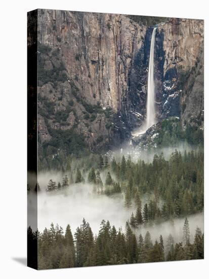 Bridal Falls, Yosemite, California, USA-Tom Norring-Premier Image Canvas