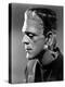 Bride of Frankenstein, Boris Karloff, 1935-null-Stretched Canvas