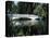 Bridge across a Swamp, Magnolia Plantation and Gardens, Charleston County, South Carolina-null-Premier Image Canvas