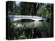 Bridge across a Swamp, Magnolia Plantation and Gardens, Charleston County, South Carolina-null-Premier Image Canvas