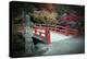 Bridge and Autumn Colours in Miyajima Japan-Neale Cousland-Premier Image Canvas