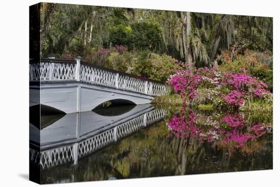 Bridge crossing pond Springtime azalea blooming, Charleston, South Carolina.-Darrell Gulin-Premier Image Canvas