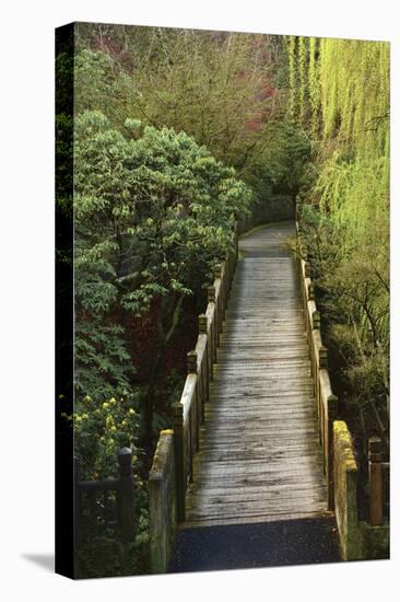 Bridge, Crystal Springs Rhododendron Garden, Portland, Oregon, Usa-Michel Hersen-Premier Image Canvas