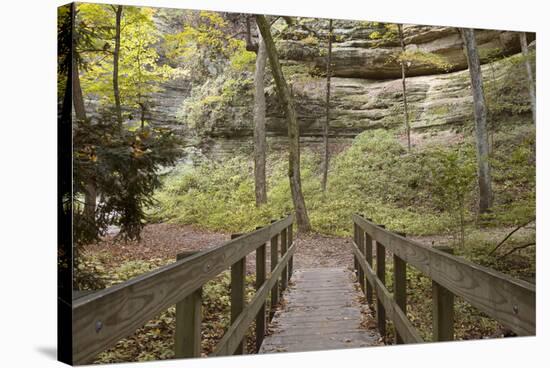 Bridge In The Canyon-Monte Nagler-Stretched Canvas