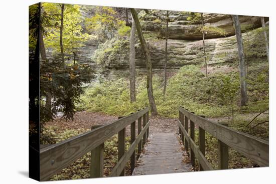 Bridge In The Canyon-Monte Nagler-Premier Image Canvas