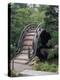Bridge, Japanese Garden, Golden Gate Park, CA-Barry Winiker-Premier Image Canvas