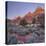 Bridge Mountain, Zion National Park, Utah, Usa-Rainer Mirau-Premier Image Canvas