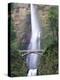 Bridge, Multnomah Falls, Columbia Gorge, Oregon, USA-Walter Bibikow-Premier Image Canvas