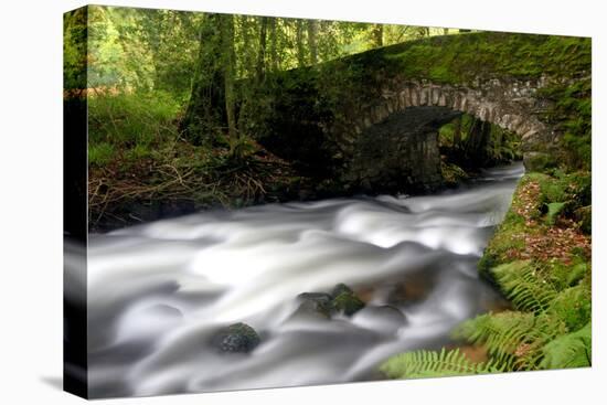 Bridge over the the River Dart, Dartmoor National Park, Devon-Ross Hoddinott-Premier Image Canvas