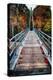 Bridge To The Nature, New Hampshire-George Oze-Premier Image Canvas