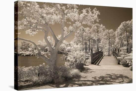 Bridge & Trees At Japanese Gardens, Delray Beach, Florida '10-Monte Nagler-Stretched Canvas