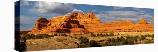 Bridges National Monument. Utah, USA.-Tom Norring-Premier Image Canvas