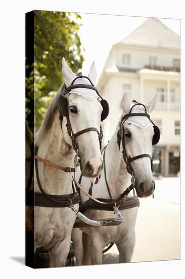 Bridled Horses-Karyn Millet-Premier Image Canvas