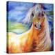 Bright Day Equine-Marcia Baldwin-Premier Image Canvas