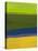 Bright Green and Yellow Abstract-Hallie Clausen-Stretched Canvas