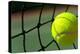 Bright Greenish, Yellow Tennis Ball on Freshly Painted Cement Court-flippo-Premier Image Canvas